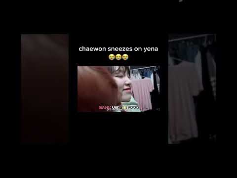 chaewon sneezing on yena hahahahah #lesserafim #yena #chaewon #Kpop #korean