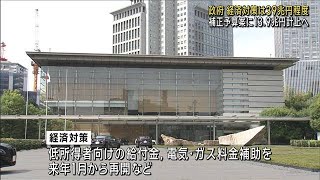 政府 経済対策は39兆円規模　補正予算案に13.9兆円計上へ(2024年11月21日)