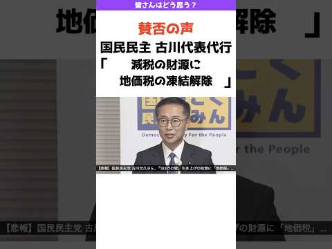 【賛否の声】国民民主党が減税の財源に地価税に言及