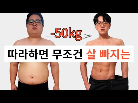 다이어트 식단 완벽 가이드