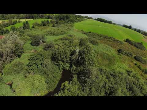 FpvFly - Dji Fpv