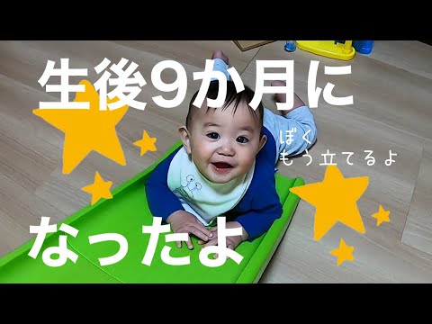 【密着】生後９か月になって危ないことしかしない次男のある１日【赤ちゃん】