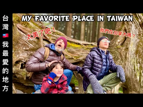 Family Trip to Alishan Forest 【全家旅行】這個仙境般的森林公園太美了！