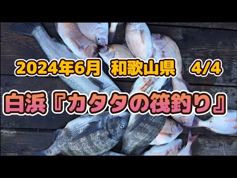 4/4和歌山県、地元料理と筏、カセ、かかり釣り旅行。白浜『カタタの筏釣り』でチヌと真鯛を狙います。果たして結果は？