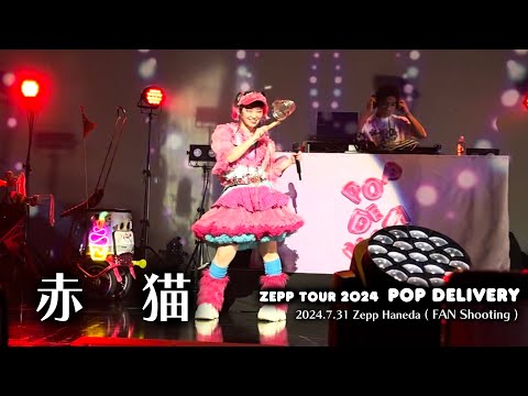 【赤猫】水曜日のカンパネラ Zepp TOUR 2024 POP DELIVERY @Zepp Haneda(FAN Shooting)