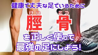 【脛骨（けいこつ）を使えば最強の足になる】人間本来の立ち方とは