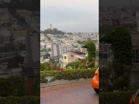 Driving down the famous Lombard street in San Francisco with sharp turns, hydrangeas and great views