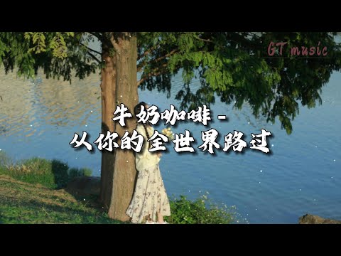 牛奶咖啡 - 从你的全世界路过『我已经从你的全世界路过，像一颗流星划过命运的天空。』【动态歌词MV】