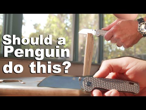 Should a Penguin do this?  The C Risner exclusive QSP EDC knife review.