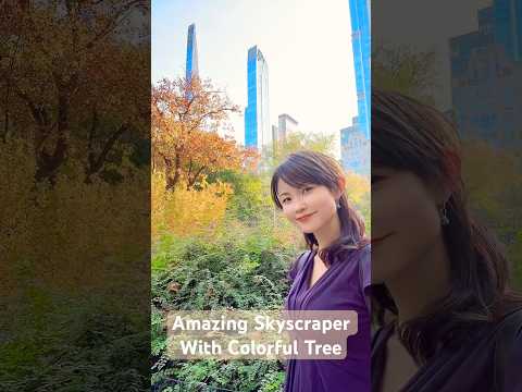 #shorts #newyork #fallfoliage #centralpark  Breathtaking Fall Foliage View from Umpire Rock