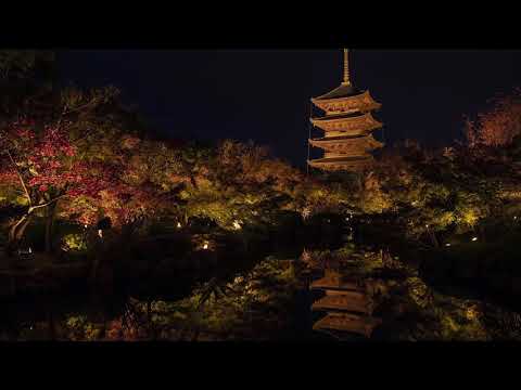 【WEB動画】2019年 盛秋「東寺」篇 そうだ 京都、行こう。