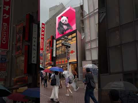 Tokyo 4K - 3D Panda Billboard in Shibuya  #渋谷センター街 #centergai #渋谷 #宇田川町