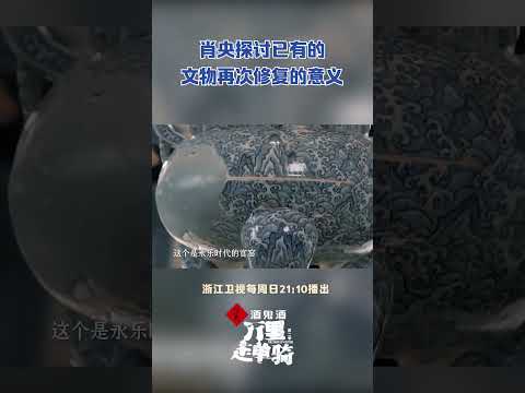 瓷器的修复有什么意义？是一段记忆一段历史~#zjstvdocumentary #万里走单骑