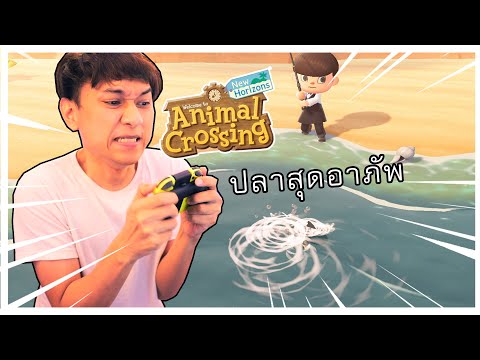 Animal Crossing - ตามล่าหาปลาที่อาภัพที่สุดในเกม