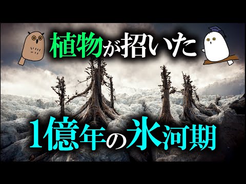 【ゆっくり解説】植物のカンブリア爆発：氷河期を呼ぶ根っこ【 古生物 / 進化論 / 科学 / 生命の歴史⑪】