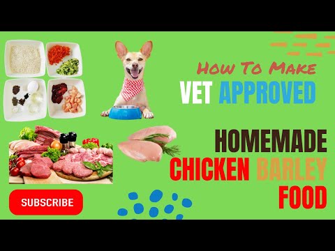 Chicken and barley Homemade vet approved easy to cook Human grade dog food | blogsbyibrar