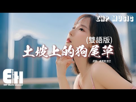 盧潤澤/宮巴 - 土坡上的狗尾草 (雙語版)『你也搶過吃剩的骨頭，你也睡過下雨的街頭，我還沒能給你好生活，哎呀你咋走得我莫法留。』【動態歌詞MV】