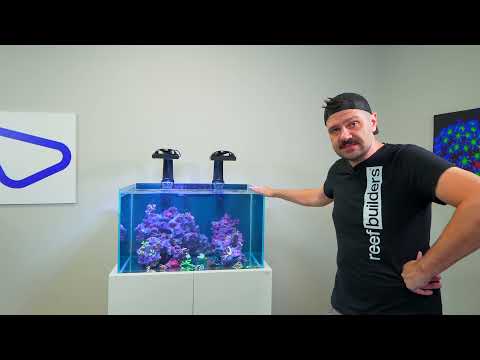 Mega Collab Pt.2 - Building the Reef Tank @EcoTechMarineUS HQ