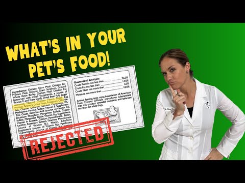 How To Read Pet Food Labels With Holistic Veterinarian Dr. Katie Woodley