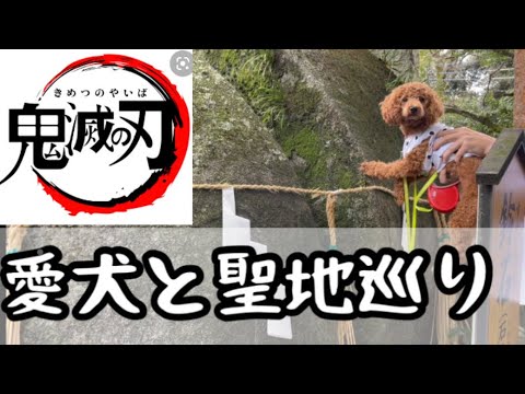 【鬼滅の刃】愛犬と聖地巡り