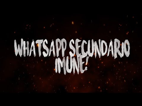 WhatsApp (SECUNDÁRIO!) RAJANDO igual IOS! IMUNE a TRAVAS: CATÁLOGO, CONTATO, TXT E ETC...