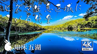 ヒグマに怯えながらの90分 知床五湖 遊歩道ぐるっと一周 【北海道の絶景】