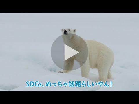 SDGsと大阪ブルー・オーシャン・ビジョン「青い海を守る」編