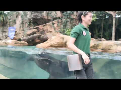 Day trip to Singapore Zoo        16 Aug 2023                                          #singaporezoo