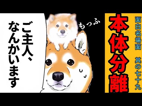 【世界の終わりに柴犬と】切り抜き編集 #79《風物詩。》  #世界の終わりに柴犬と  #アニメ #柴犬