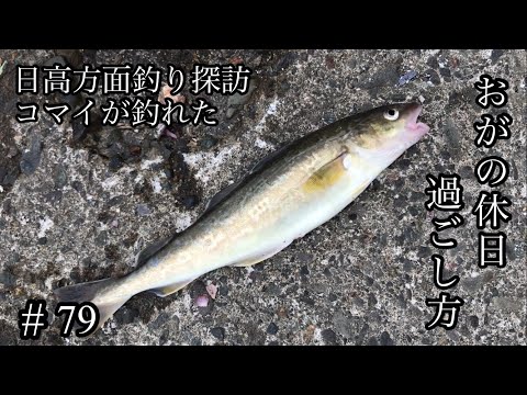 オガの休日過ごし方#79日高方面釣り探訪コマイが釣れた