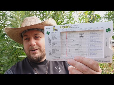 Wondering What To Plant & When To Plant It? This Is All You Need!