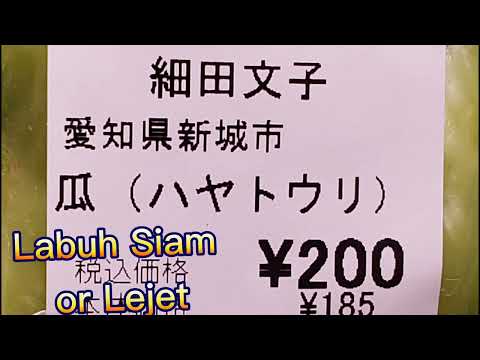 ハヤトウリ Labuh Siem atau lejet in Japan