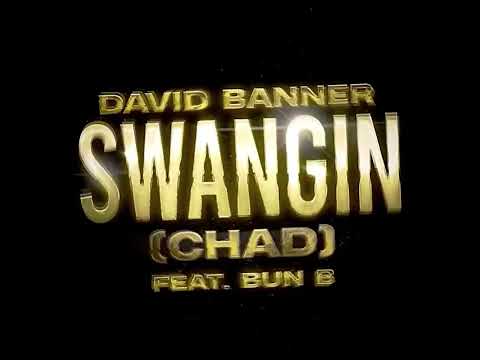 David Banner - Swangin (Chad) ft. Bun B [Visualizer]