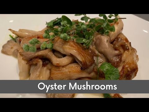 Oyster Mushrooms | #oyster #mushrooms #perimaskitchen