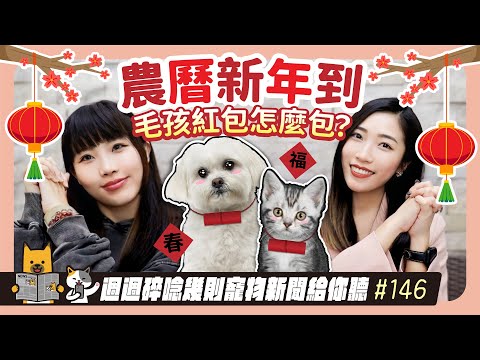 EP. 146 農曆新年到 毛孩紅包怎麼包？｜毛爸媽碎碎唸