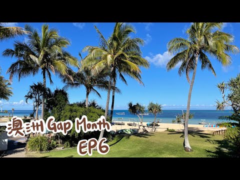 【澳洲Gap Month EP6】摩頓島三日遊！餵海豚、浮潛、BBQ