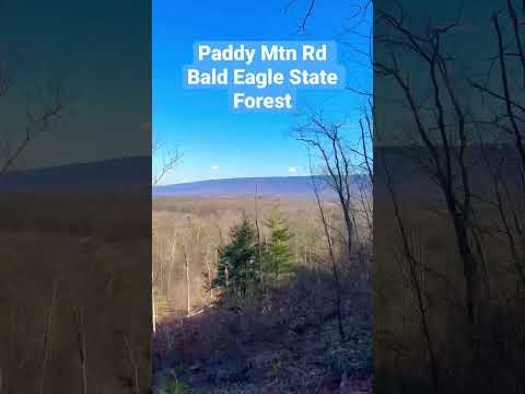 Epic view from Paddy Mtn Rd in Bald Eagle State Forest