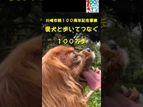 川崎区版　ショート動画＃犬と歩く川崎市の名所