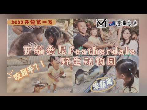 开箱悉尼Featherdale野生动物园｜澳洲袋鼠🦘真的咬人吗？！｜2022 New Year's Unboxing @featherdalewildlife