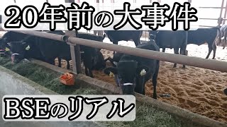 BSE問題でリアルに起こったこと【肉業界最大の事件】