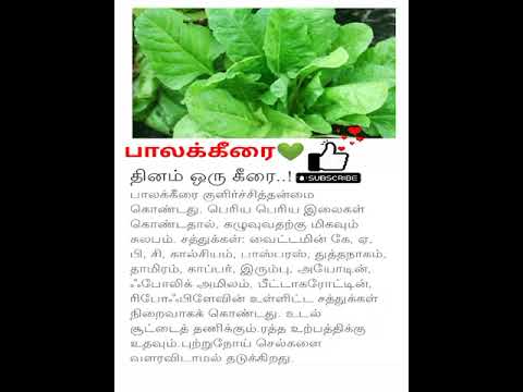 பாலக் கீரையின் பயன்கள் | palak keerai benefits in tamil #shorts #tips #healthtips