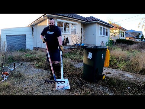 I Almost Got BITTEN By An Illegal SNAKE While Mowing This OVERGROWN Lawn