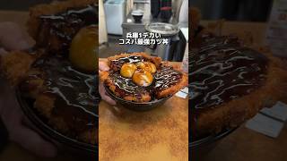 兵庫1デカい コスパ最強カツ丼