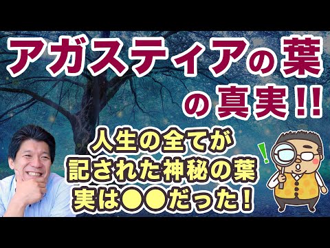 アガスティアの葉！人生の全てが記されている？複数の体験者に聞いた実際のところを検証