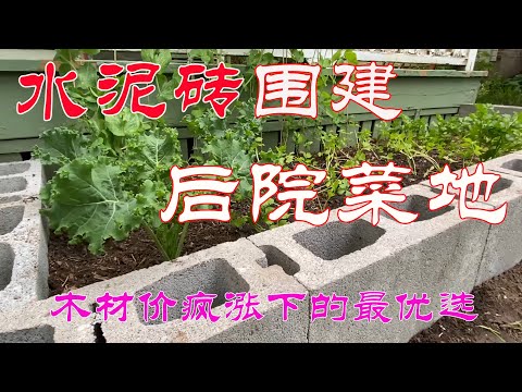 【渔耕笔记】用水泥砖围建后院菜地 木材疯涨下的明智之选