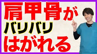 【肩甲骨はがし】90秒で肩こり激変！つまんで動かすだけのセルフ整体でスッキリ