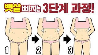 내 뱃살은 몇단계? 단계별 운동, 식단법 총정리 (단계별 복부 살빼는법)