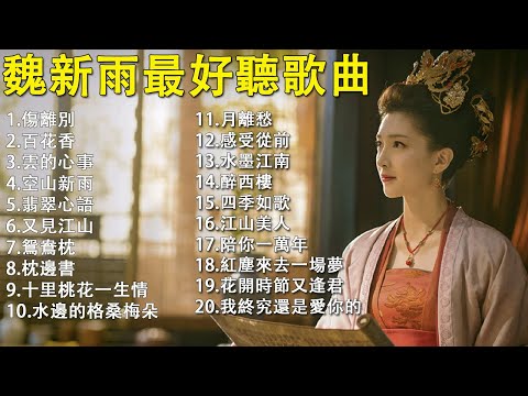 魏新雨最好聽歌曲 l 無廣告版本 l 【傷離別、百花香、陪你一萬年】