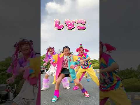 こっこちゃんと竹ぱらとしなこっこっこっこダンス踊ってみた💜💜🤣🤣🤣🤣 #しなこワールド