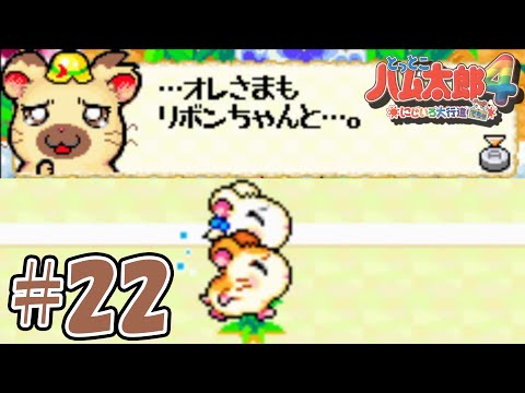 【とっとこハム太郎4】タイショーくんの実らない恋#22